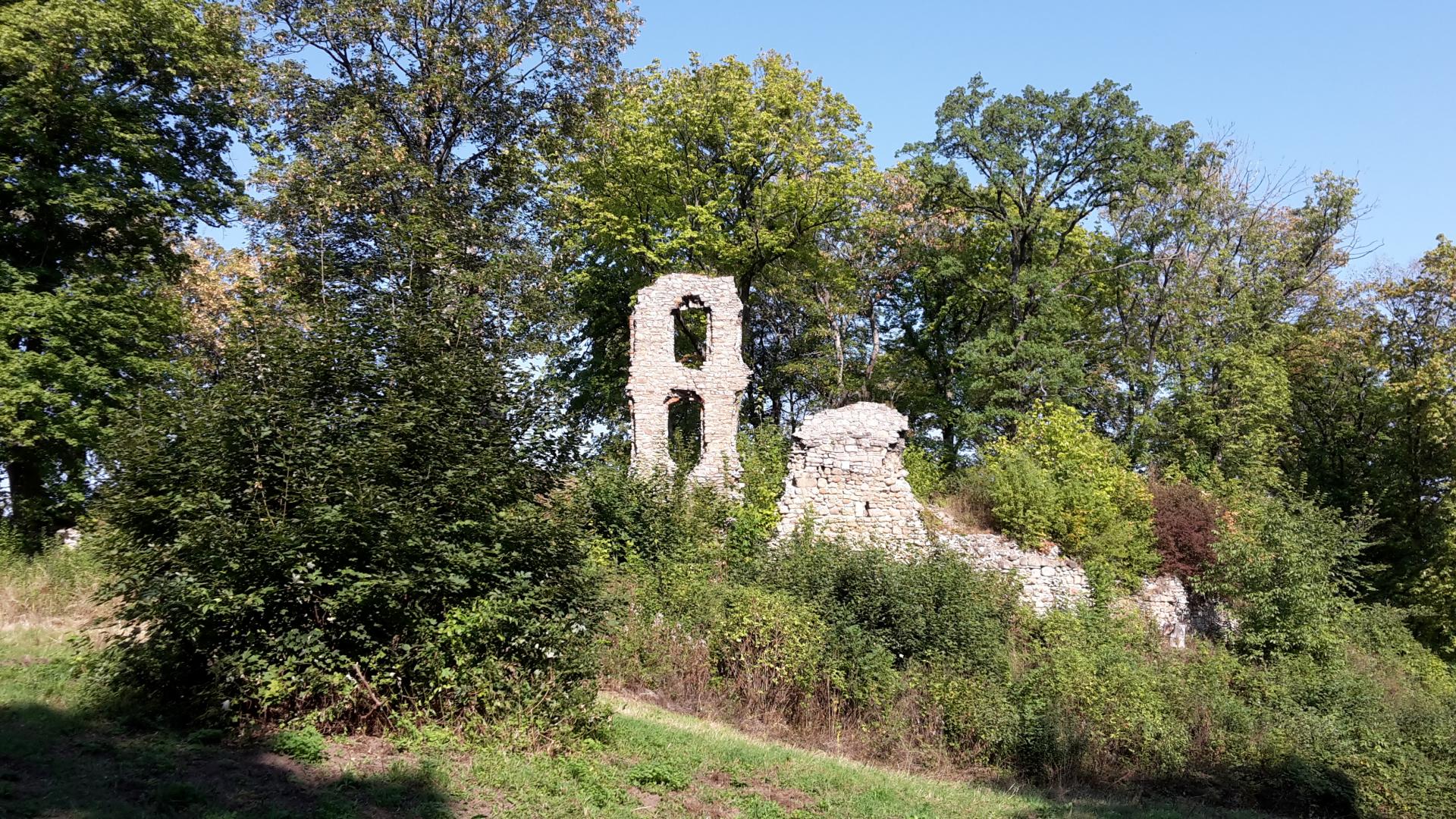 Ruine Stecklenburg