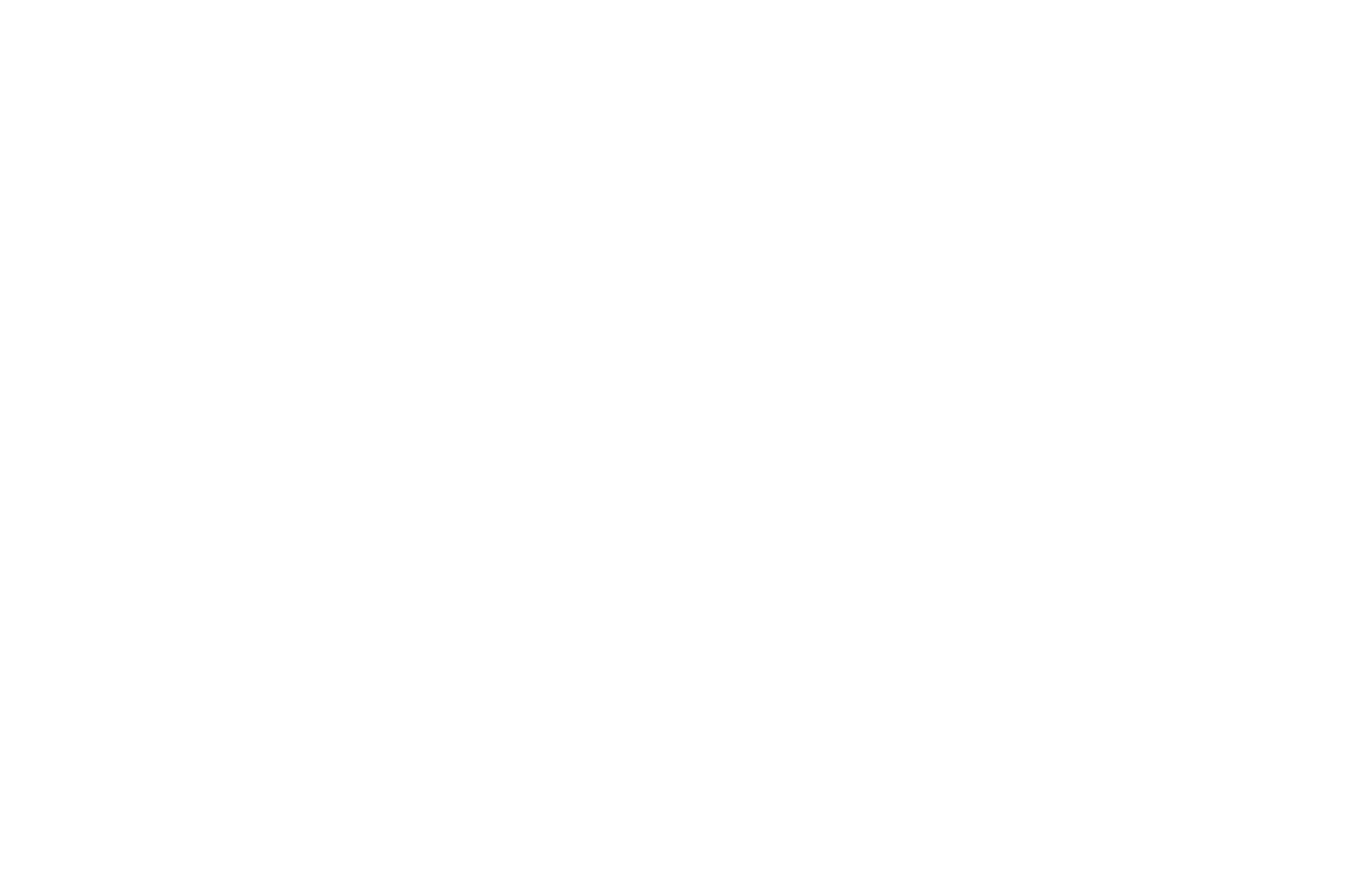 LogoMVMweiss