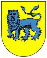sportverein-blitzenreute-ev-logo