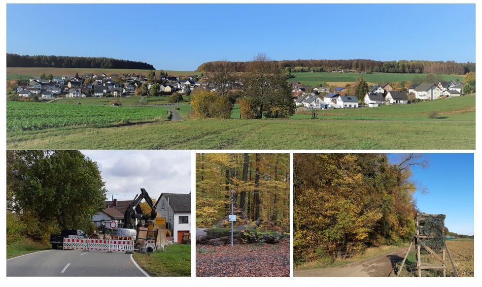 Herbst 2020 Herbst 2020