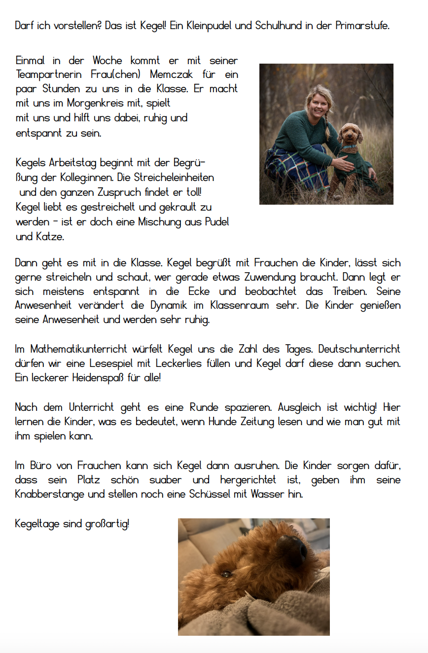 Schulhund Kegel
