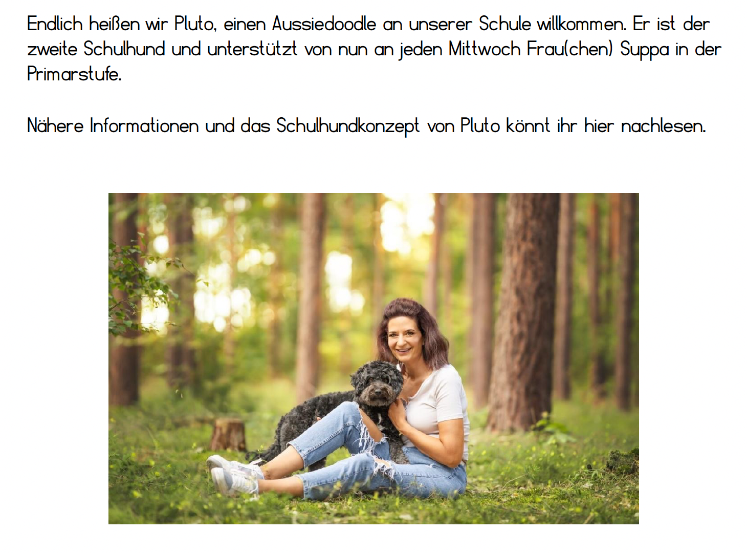 Schulhund Pluto