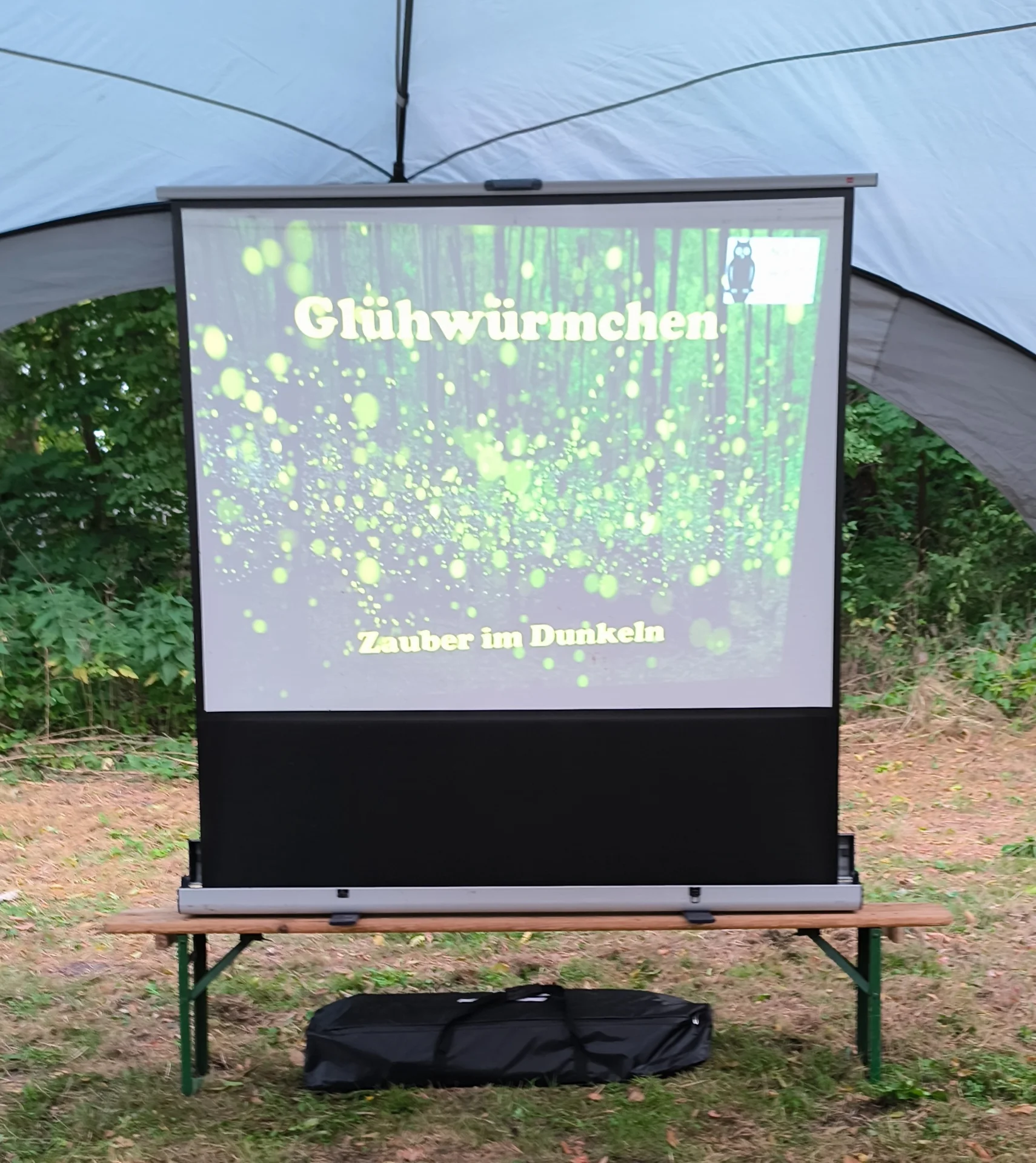 Glühwürmchennächte
