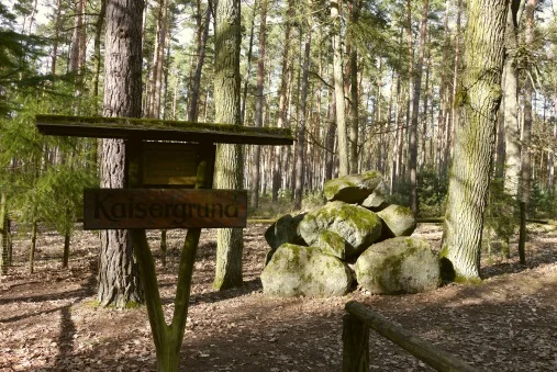 Wald