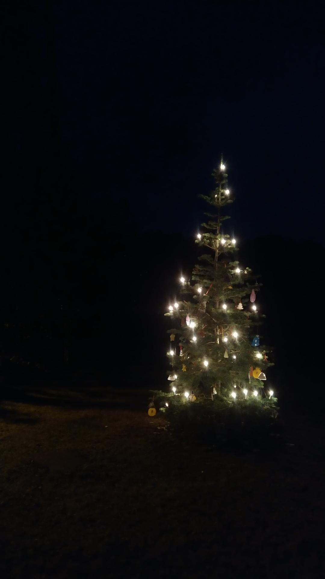 Weihnachtsbaum 2021