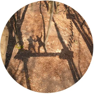 rd-klettern-schatten