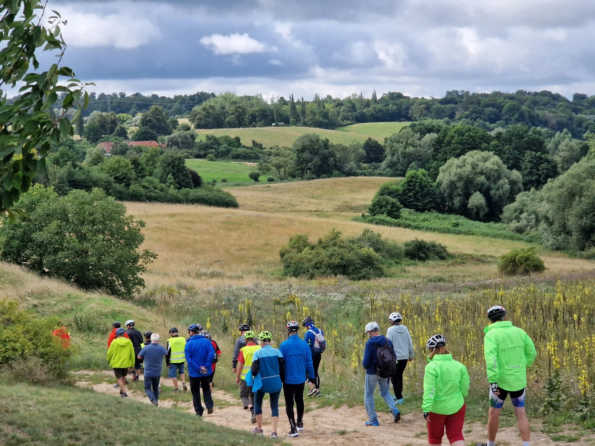 Tollenseseeradweg