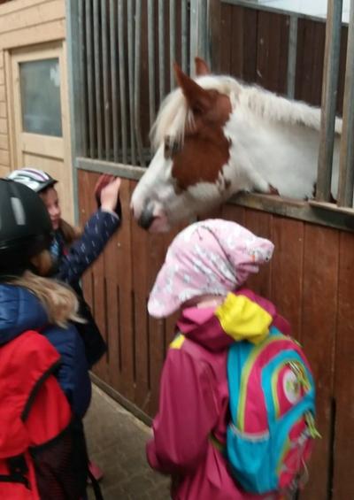 Schülerinnen streicheln einen Pferd