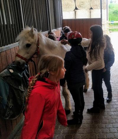 Schülerinnen streicheln einen Pferd