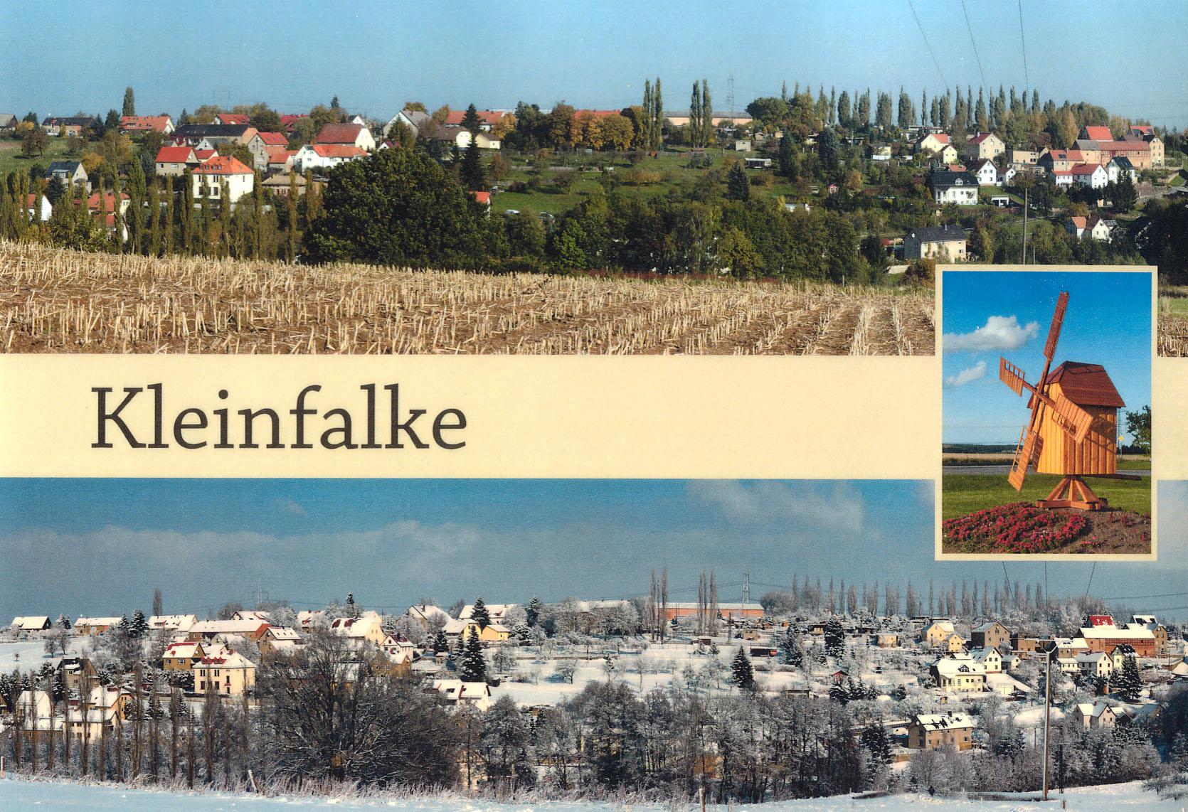 Kleinfalke - Grußkarte 01
