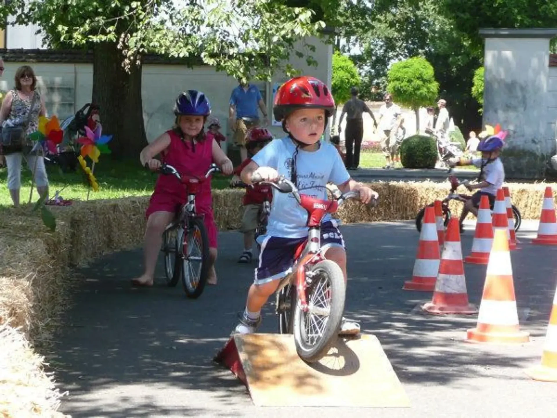 Spatzen in Bewegung