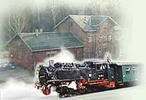  Schmalspurbahn am Bahnhof Bertsdorf