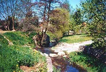  Das Bertsdorfer Wasser