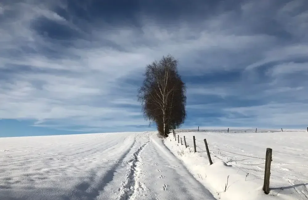 Winterwandern