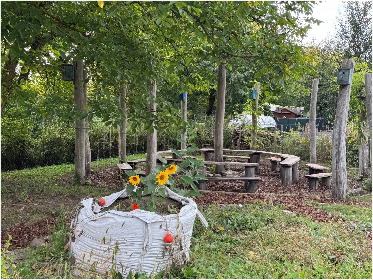 grünes Klassenzimmer im Schulgarten