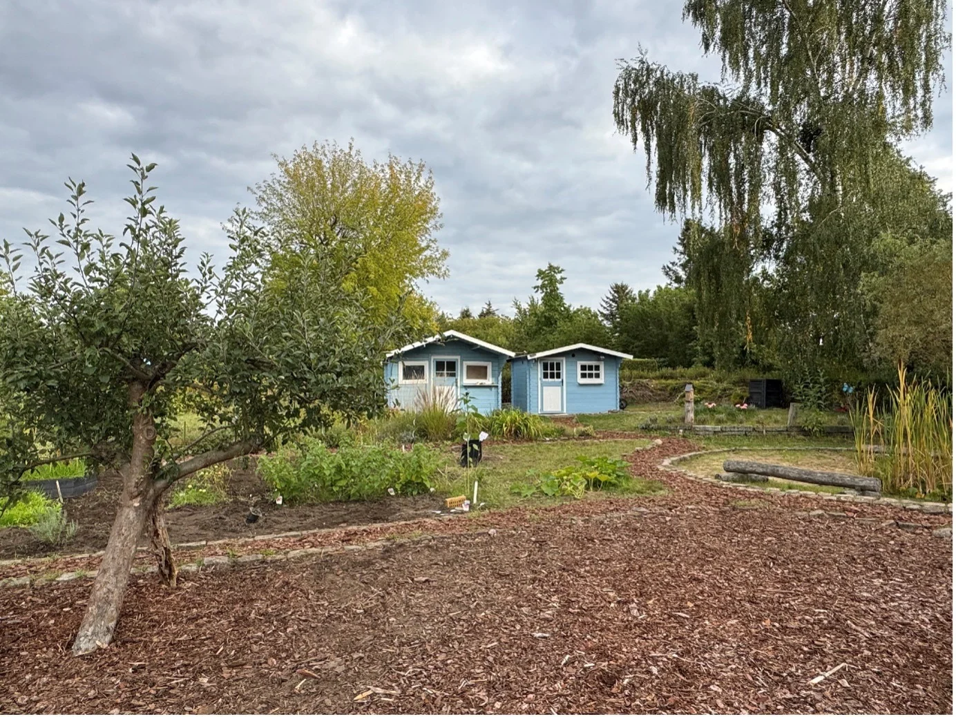Überblick Schulgarten mit Hütten