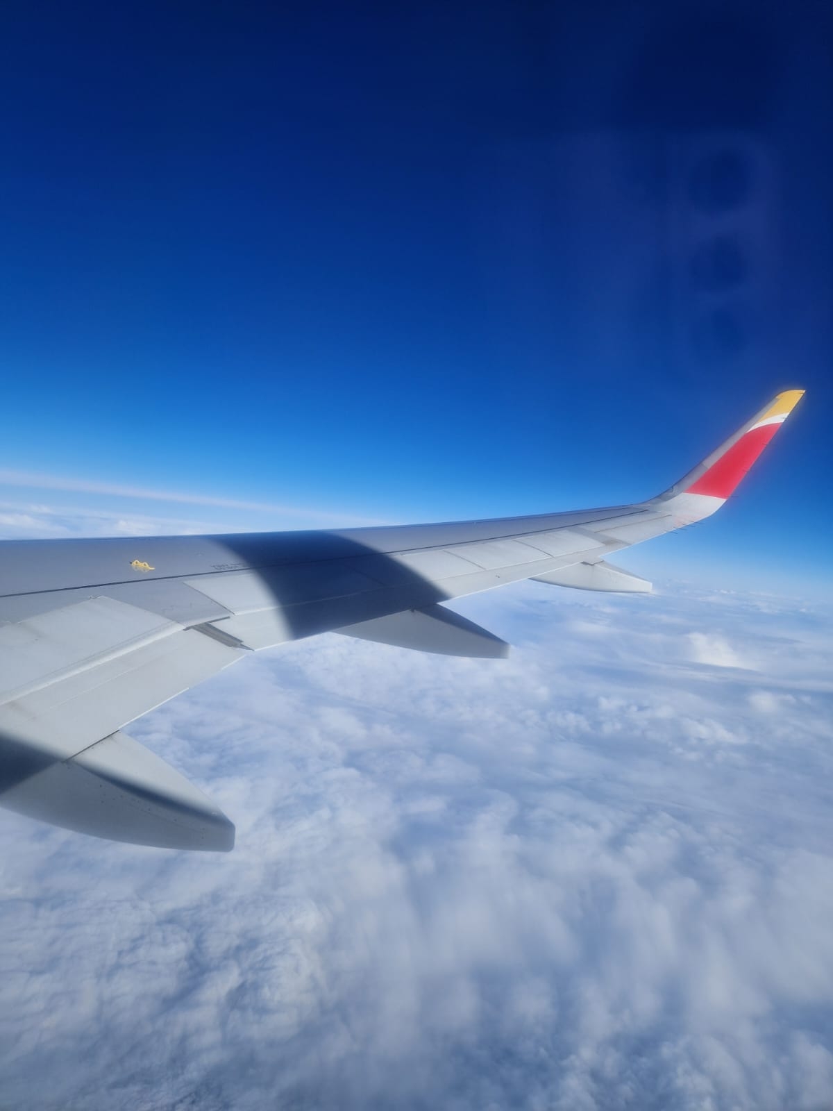 Flug hin