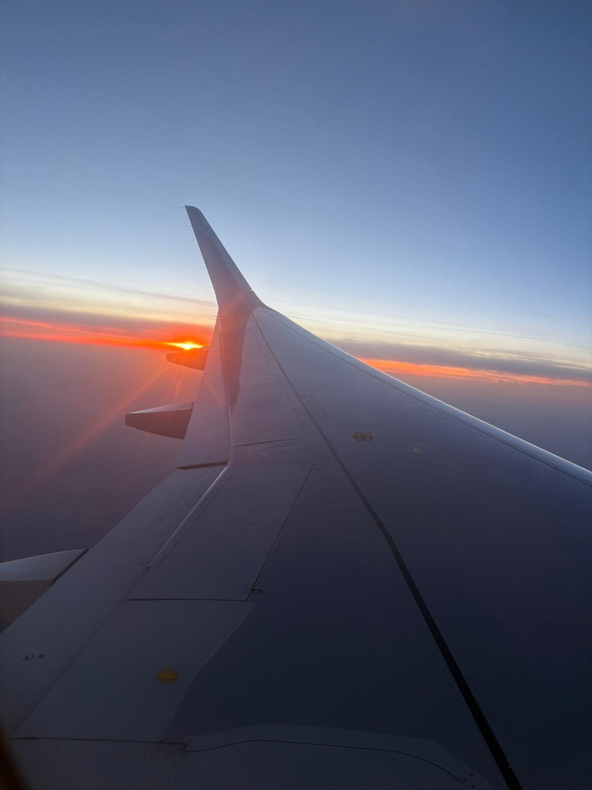 Flug zurück