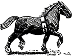 logo-pferd