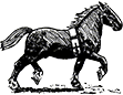 logo-pferd