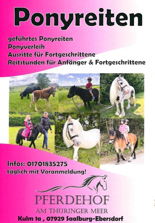 Flyer Reiten