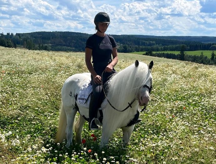 Reiten am Thüringer Meer