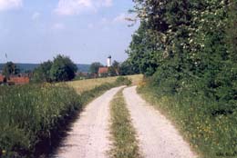 Feldweg in der Gemeinde Langenneufnach