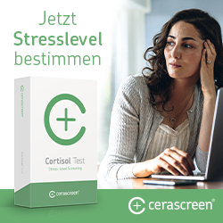 Banner - Jetzt Stresslevel bestimmen