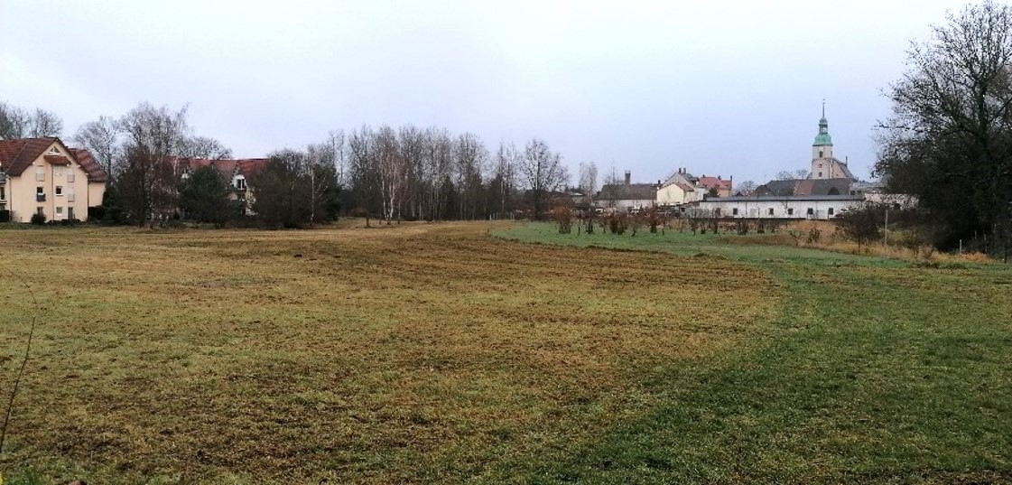 Wiese an der Parthenstraße