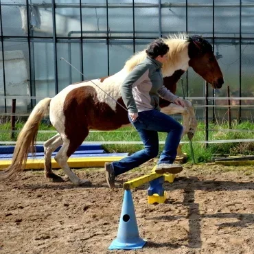 Moegliche auswirkung