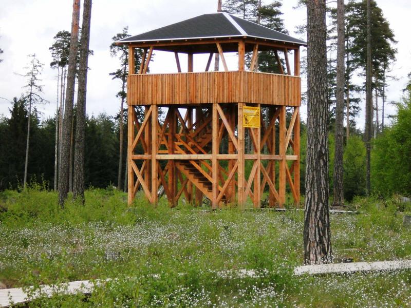 Moorlehrpfad 1