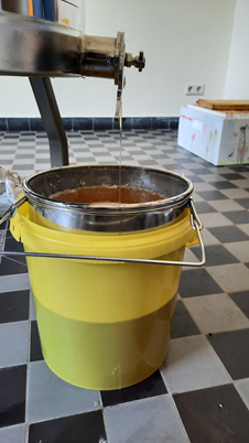 bienen_ag05