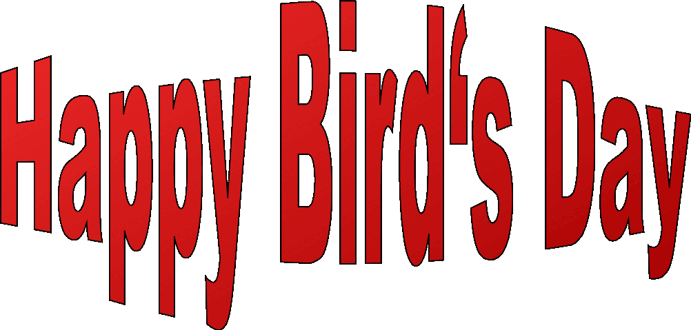 happy-birds-day