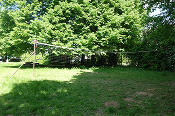 volleyball