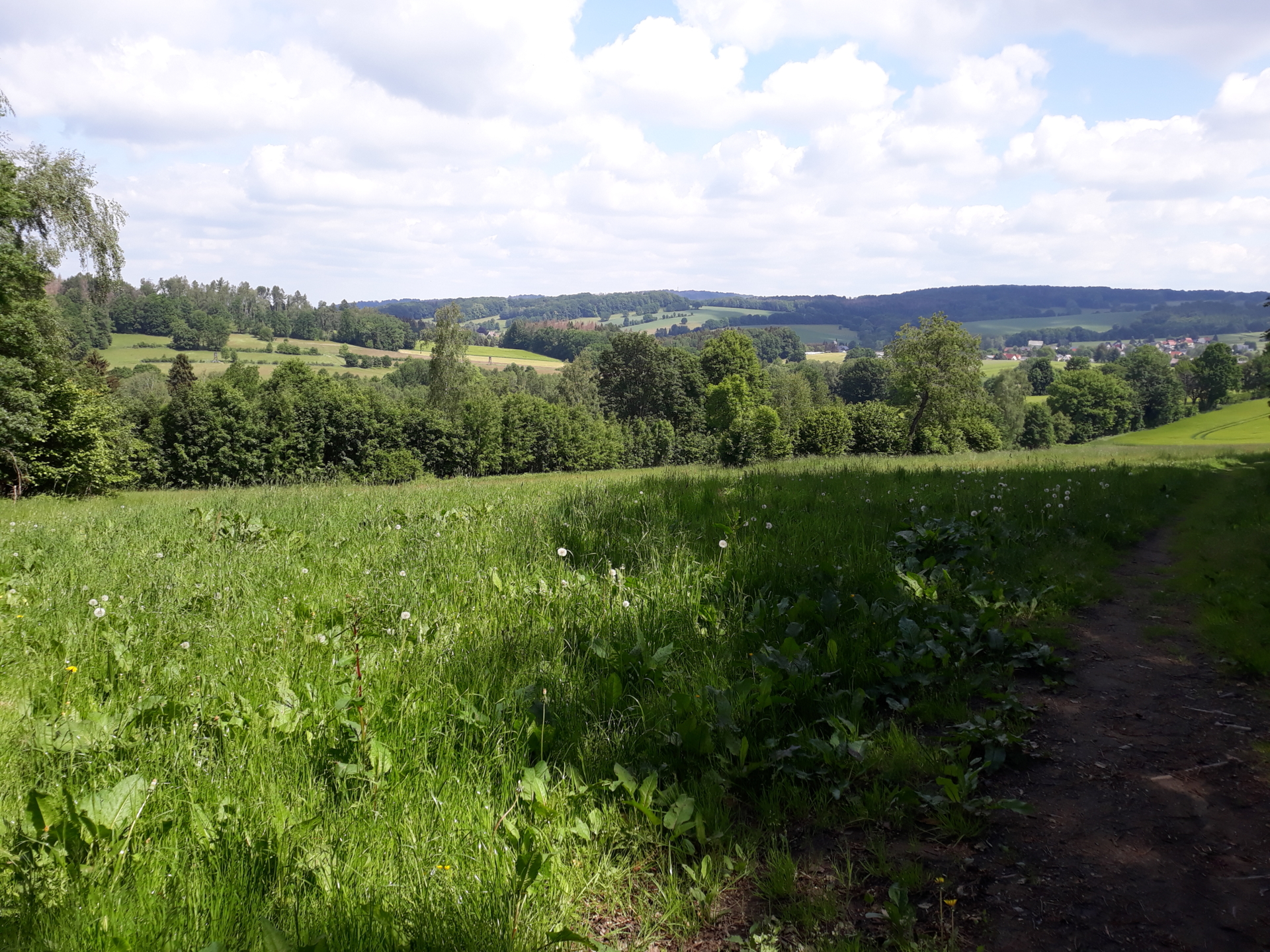 Blick in Richtung Wesenitzmühle - Rundwanderweg Steinigtwolmsdorf