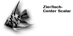 Zierfisch_Scalar