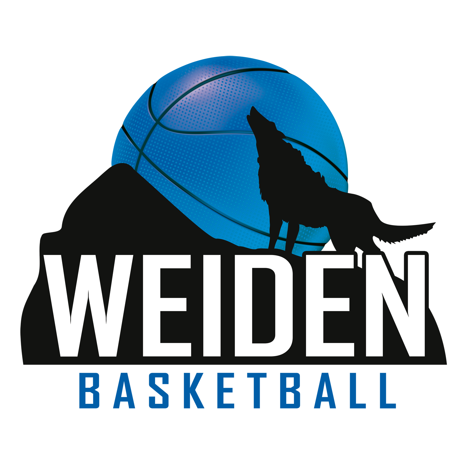 Logo_TB-Weiden_transp