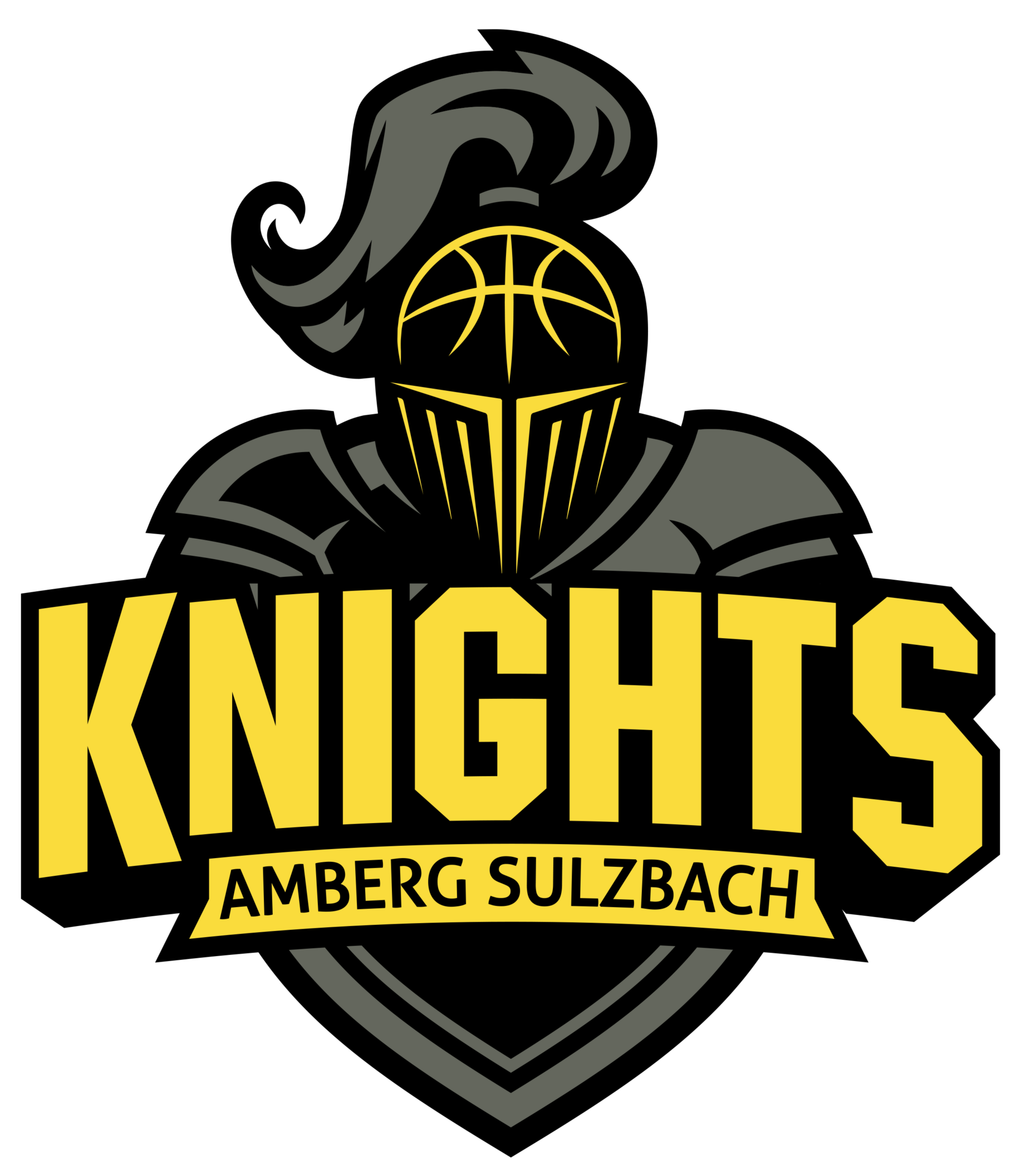 Knights Amberg