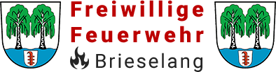 logo-ffw-brieselang