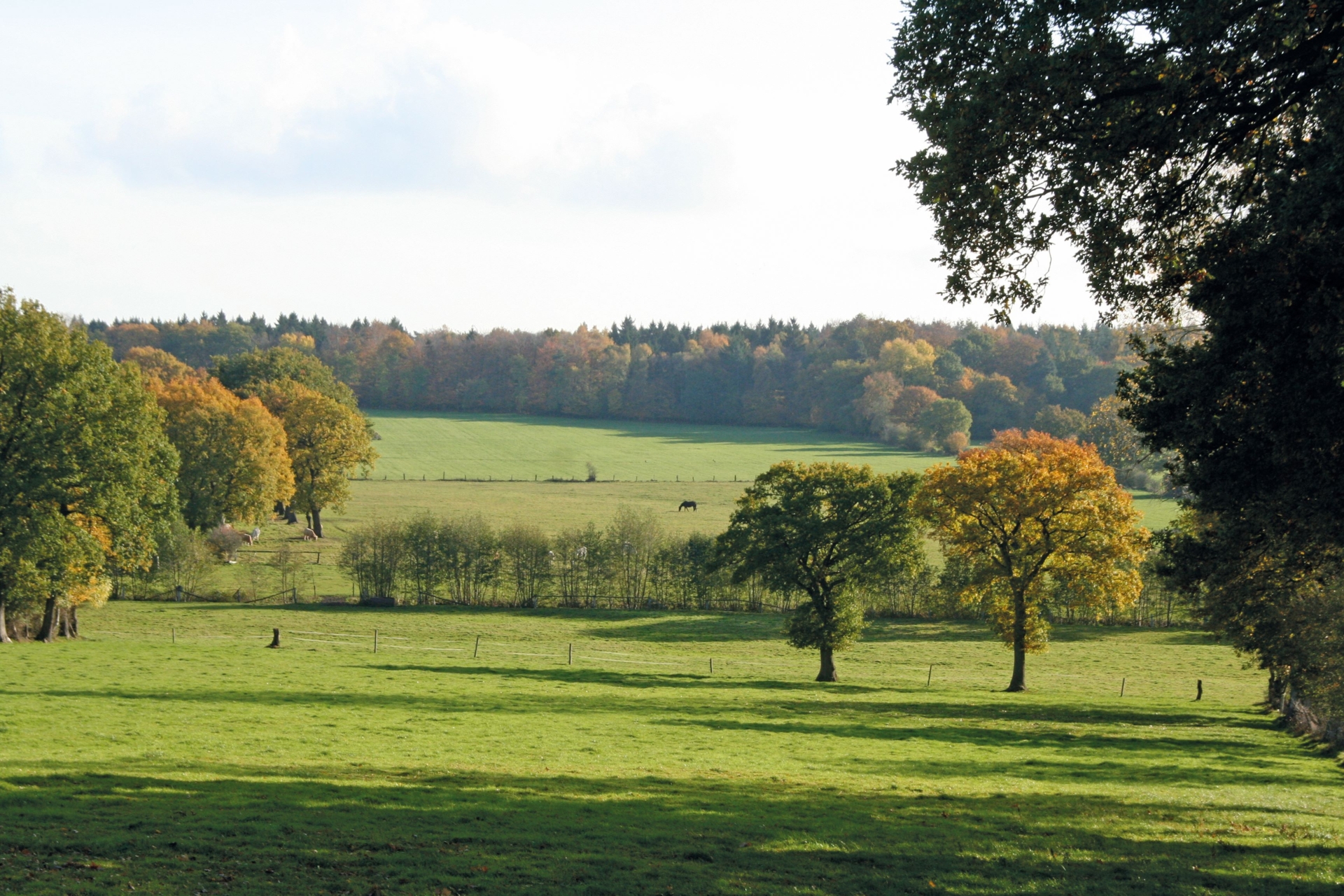 Bremer Schweiz_Jäger