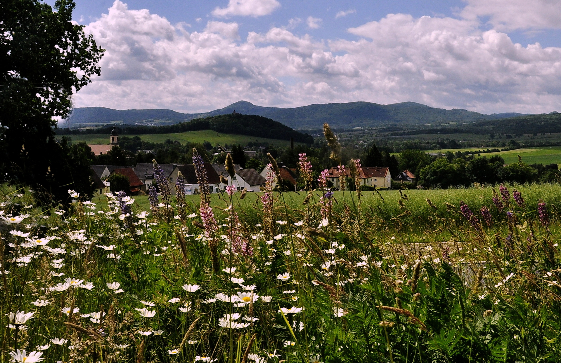 Blick vom Windmühlberg ins Lausitzer und Zittauer Gebirge