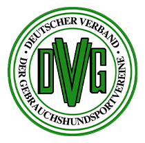 logo-dvg