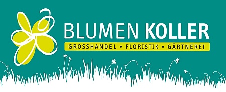 Koller GmbH