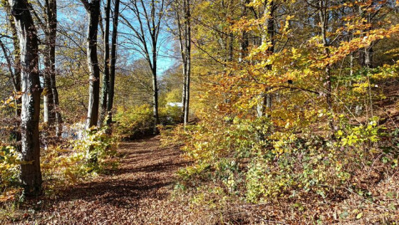 Bielefeld Zugang