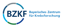 BZKF Logo