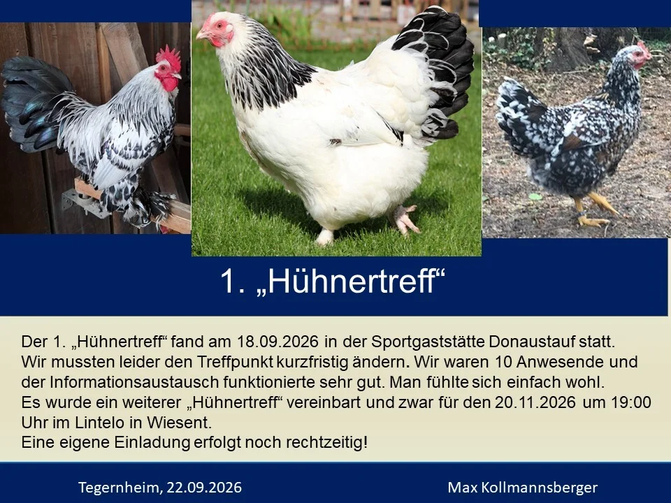 hühner nach