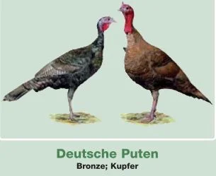 Deutsche Puten