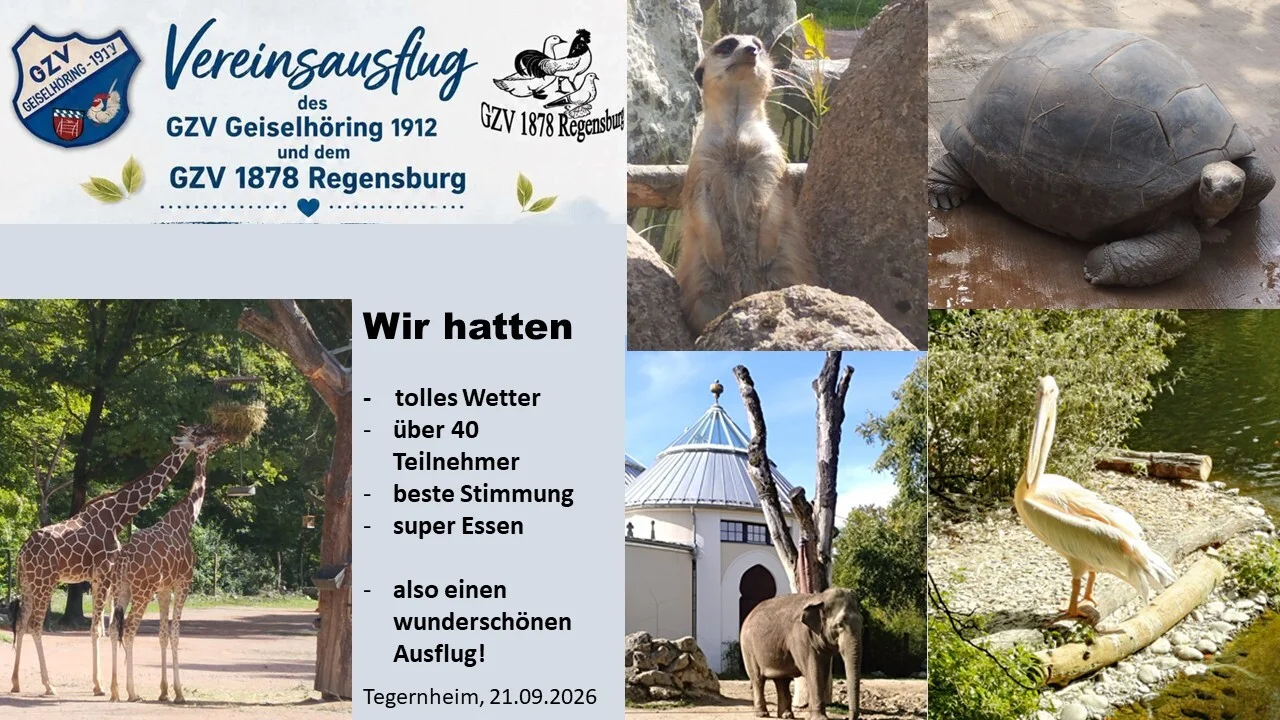 ausflug