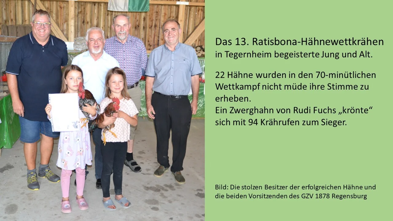 Ratisbona_Hähnewettkrähen