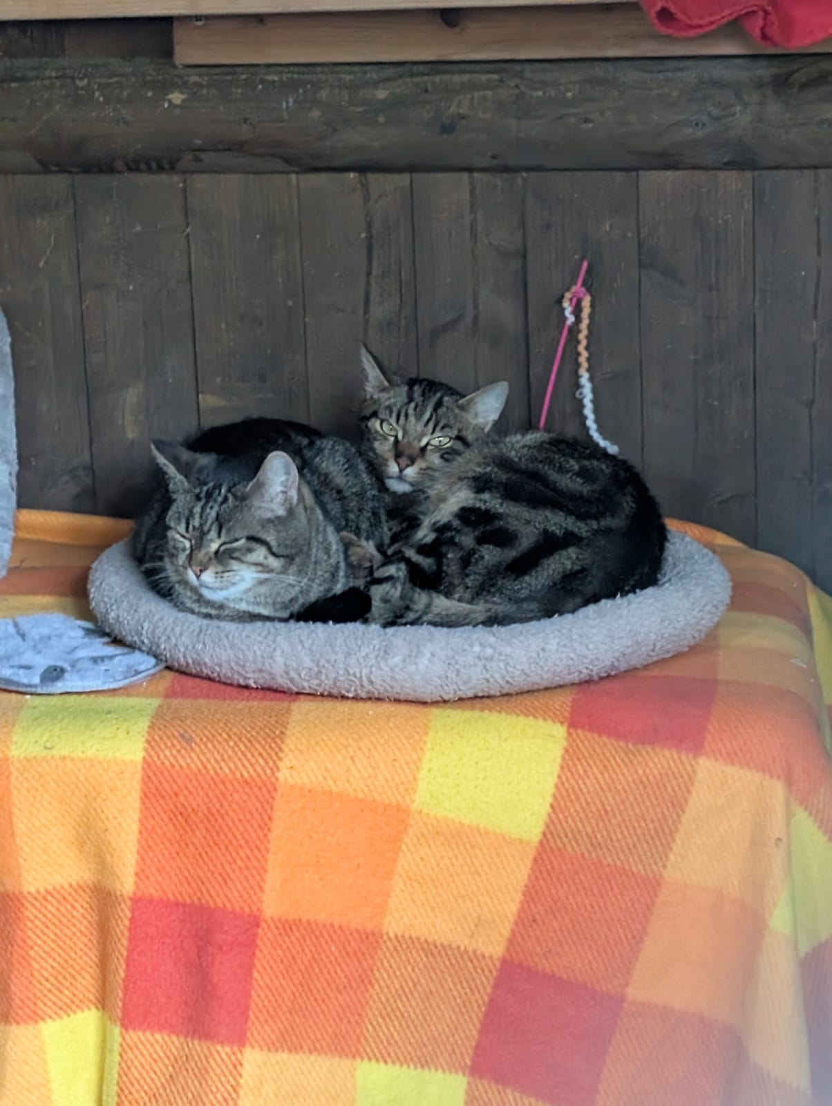 Ronja & Leo